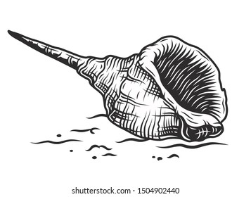 Monochrome stylized hand drawn seashell on the beach