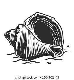 Monochrome stylized hand drawn seashell on the beach