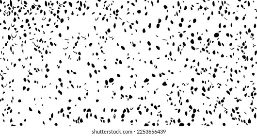 Monochrome texture composed of irregular graphic elements. Distressed uneven grunge background. Abstract vector illustration. Overlay for interesting effect and depth. Isolated on white background.