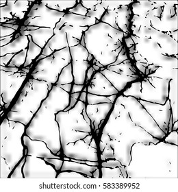 monochrome texture - cracks on a white background