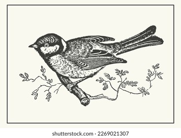 Monochrome tit bird on the branch linear poster. Illustration of small bird in black