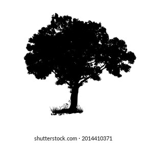 objeto de árbol monocromo. Ilustración del vector
