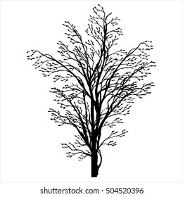 monochrome tree silhouette with leaves, spring twigs,isolated hand drawn vector elements