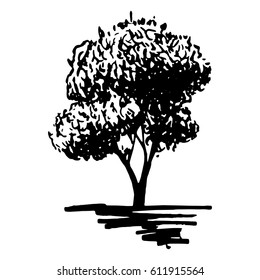 Monochrome tree silhouette sketched line art isolated vector