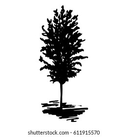 Monochrome tree silhouette sketched line art isolated vector
