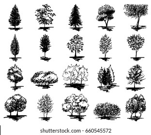 Monochrome tree silhouette sketched line art set isolated vector