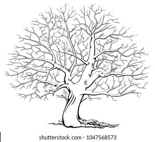 Monochrome tree without leaves. Dry wood. Black and white.