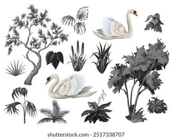 Árboles, plantas y cisnes monocromos aislados. Vector