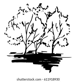Monochrome trees silhouette sketched line art isolated vector
