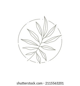 Monochrome tropical botanic branch with leaves at circle frame decorative logo design of spa beauty salon vector illustration. Simple line art clothes print with natural floral plant emblem isolated
