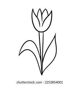 Monochrome tulip flower with leaves, doodle, vector illustration in cartoon style on a white background