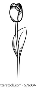 Monochrome tulip isolated on white background. Vector illustration. 