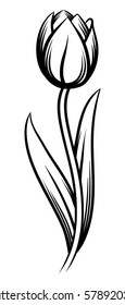 Monochrome tulip isolated on white background. Vector illustration.