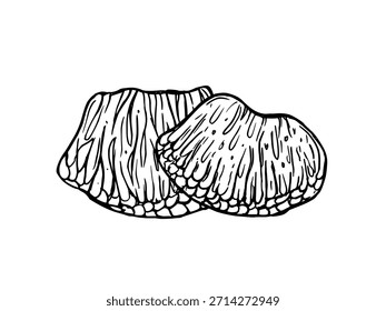 Ilustração isolada de vetor de dois segmentos de toranja pelados monocromáticos pintados com tintas pretas. Polpa suculenta de fatias de frutas cítricas tropicais que gravam o desenho para embalagem de alimentos, rótulos de suco, blogs de dieta.