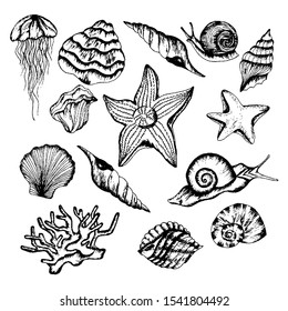 Monochrome Underwater Creatures Vector Hand Drawn Illustrated Set. Various Sea Creatures Sketches.
