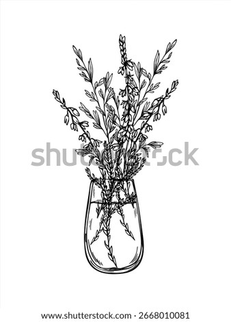 Monochrome vector bouquet of heather branches with decorative bow. Nordic blooming plant etching drawing for wedding invitation, rustic label, herbal product packaging, and vintage style decor