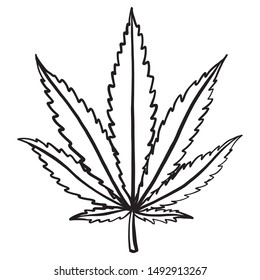monochrome vector cannabis leaf in black and white. marijuana, weed, drugs.