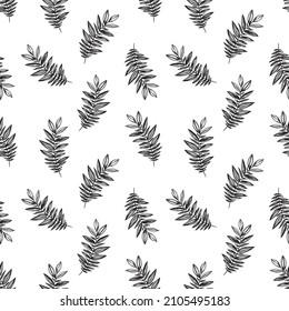 Monochrome vector design with black twigs in hand drawing style. Ornament with elements isolated on a white background. Illustration of plant motifs in black and white. Textile pattern.