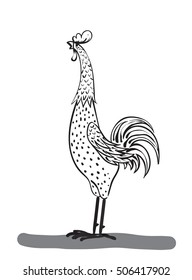 monochrome vector drawing handwritten Cockerel