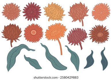 Monochrome vector flowers illustration set. Hand drawn outline with fill strawflower, chrysanthemum blooms and leaves with dotted texture isolated on white background. Modern elegant floral elements