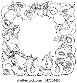 Monochrome Vector frame template of fruit and berry for you design