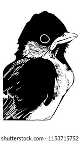 Monochrome vector graphic of Great Tit chick side-on and cropped.