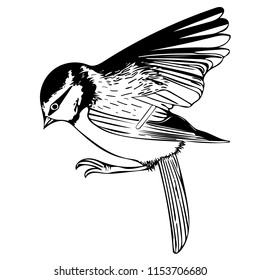 Monochrome vector graphic of perched Blue Tit with wings stretched upwards side-on.