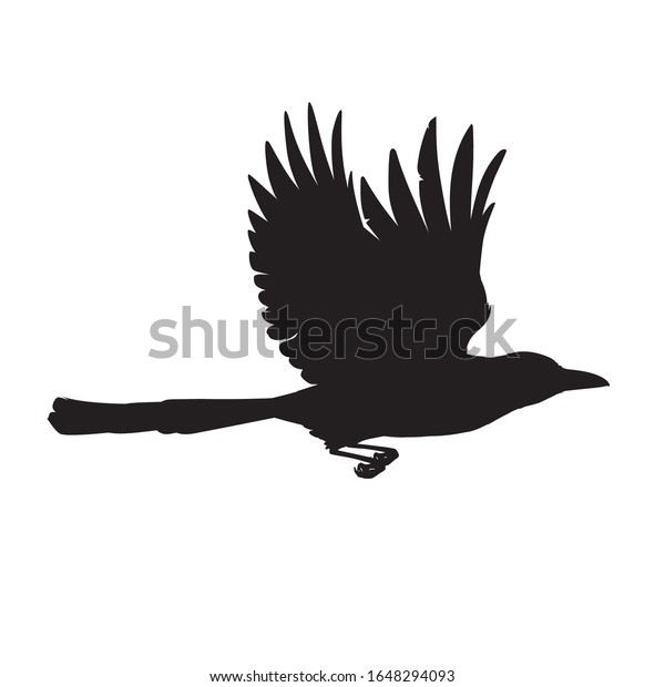 白い背景にインテリジェントな鳥の黒いシルエット ユーラシアのマグピーのベクターイラスト リアルなマグピー飛行 デザイン 印刷 デコレーションのエレメント ステンシル のベクター画像素材 ロイヤリティフリー