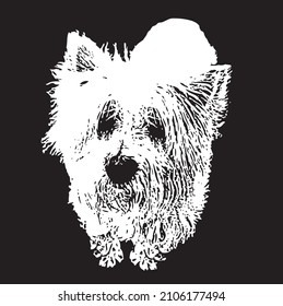 monochrome vector illustration of a cute looking west highland terrier 