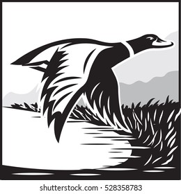 Monochrome vector illustration with flying wild duck over the water