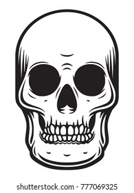 monochrome vector illustration of human skull