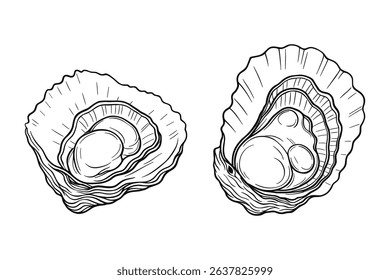Monochrome Vector Illustration of Open Oysters with Pearls Inside Shells