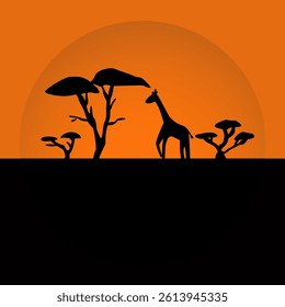 Monochrome vector illustration of safari. Black silhouettes of African trees and walking giraffes. Black silhouettes on an orange background. Africa, dusk, black and orange, walking giraffe, africa.