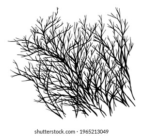 Monochrome vector illustration of silhouette of dry branches.