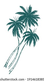 Monochrome vector illustration in stripped style in free strokes. Drawing of coconut trees.