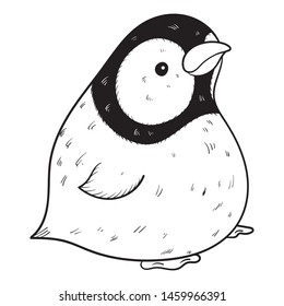 monochrome vector illustrator of a cute penguin baby looking to side.  scribble, outline, comic, ink, sketch, doodle, vector, illustration, line, cartoon, black, white, drawing, stroke, monochrome.