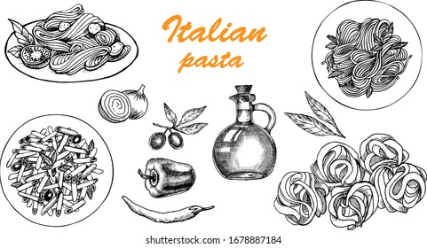 Monochrome vector italian pasta illustration.