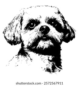 monochrome vector portrait of a dog in black and white, designed with intricate hand-drawn shading and cross-hatching for a detailed, lifelike, and artistic representation