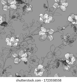 Monochrome vector seamless floral pattern of spring bloom branch with flowers cherry, buds, leaves on gray background. Blooming tree twigs sakura. Vintage. Hand drawn.  Stock illustration.