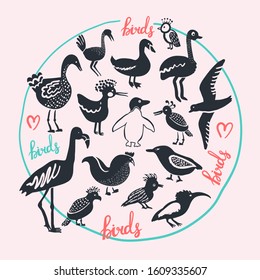 Monochrome vector set with birds -  flightless leggy ostrich, long-billed kiwi, bicolor penguin, hoopoe, nestling, flying  seagull. Round composition. Black and white. Doodle style. Hand drawn.