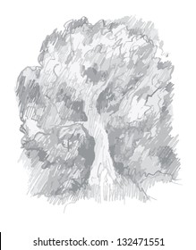 Monochrome vector tree, pencil drawing