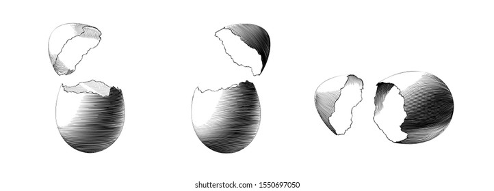 Monochrome vintage engraved drawing cracking egg vector illustration in three style collection isolated on white background