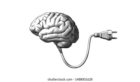 Grabado monocromo vintado dibujo cerebro humano conectado a la ilustración de cable eléctrico aislado en fondo blanco