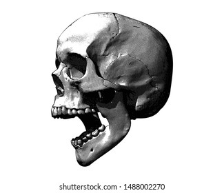 Monochrome vintage engraving drawing human skull open mouth jaw or screaming side view crosshatch style illustration isolated on white background