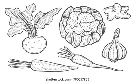 Monochrome vintage engraving organic vegetables, Farmers market badge sign isolated on white. Sketch vector drawn illustration. cabbage, beets, carrots, turnip, garlic, Jerusalem artichoke