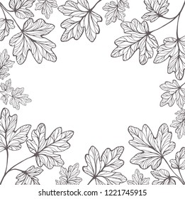 Monochrome vintage hand-drawn frame with maple leaves. Background with high fidelity botanical illustration, hand drawn graphics.
Vector frame with place for your text.