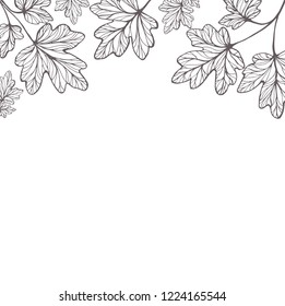 Monochrome vintage hand-drawn frame with maple leaves. Background with high fidelity botanical illustration, hand drawn graphics.
Vector frame with place for your text.