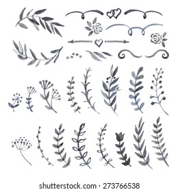 Monochrome watercolor vintage set with herbs. Sketch of flowers and herbs. Illustration for greeting cards, invitations, and other printing and web projects.
