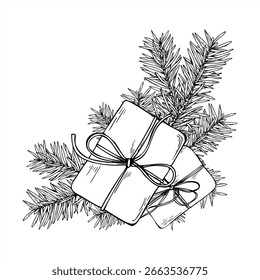 Monochrome wrapped tied gift boxes, spruce branch vector composition painted by black inks. Evergreen plant and presents Christmas illustration for holiday card, winter invitation, festive packaging.