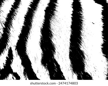 monochrome zebra or tiger fur background. Not AI, Vector illustration.